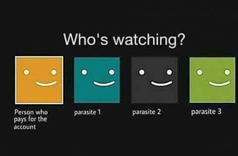 netflix parasite meme