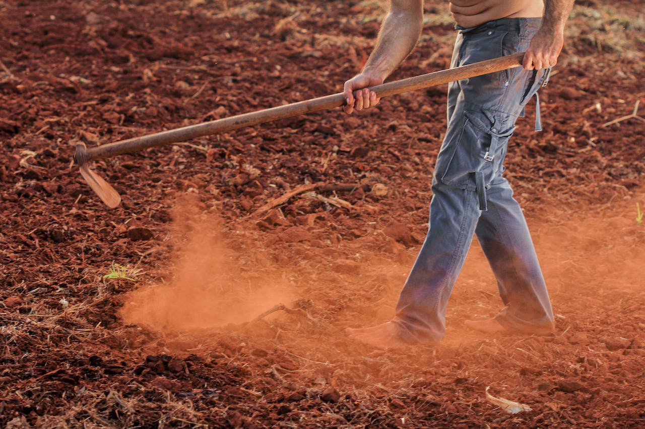 farmer using a hoe